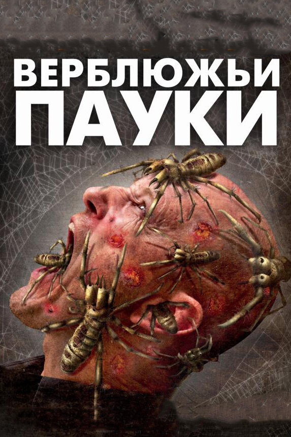 Верблюжьи пауки (2011) постер