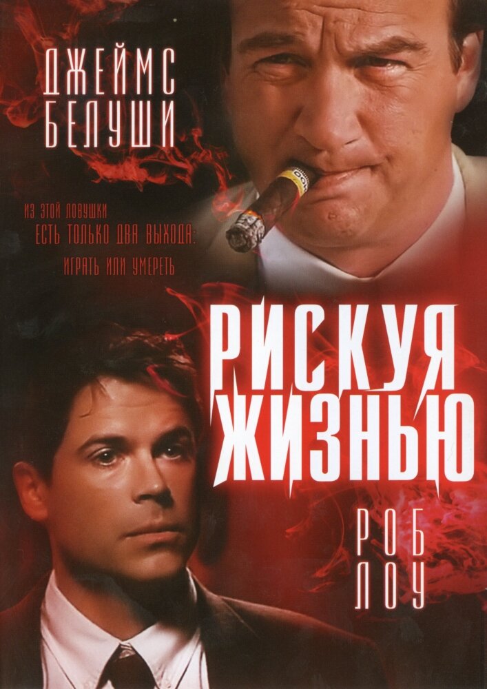 Рискуя жизнью (1996) постер