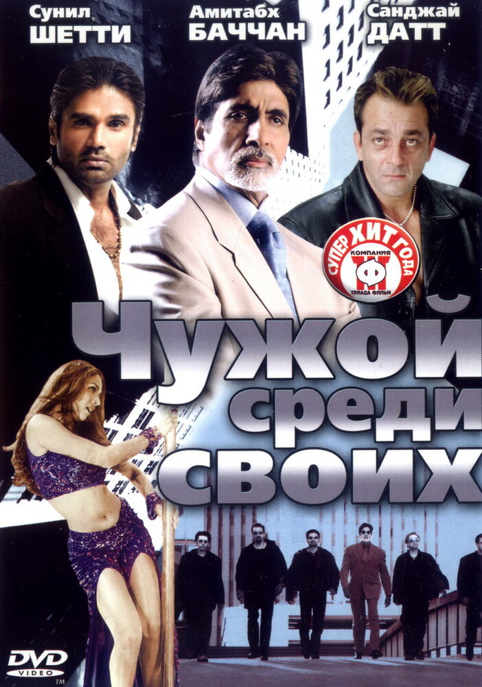 Чужой среди своих (2002) постер